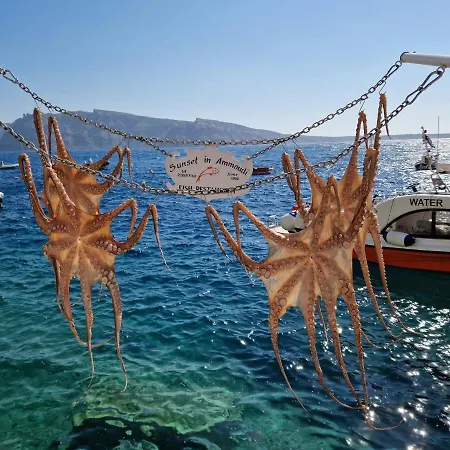 Pleasure Seaside דירה *