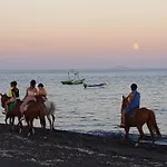 Pleasure Seaside